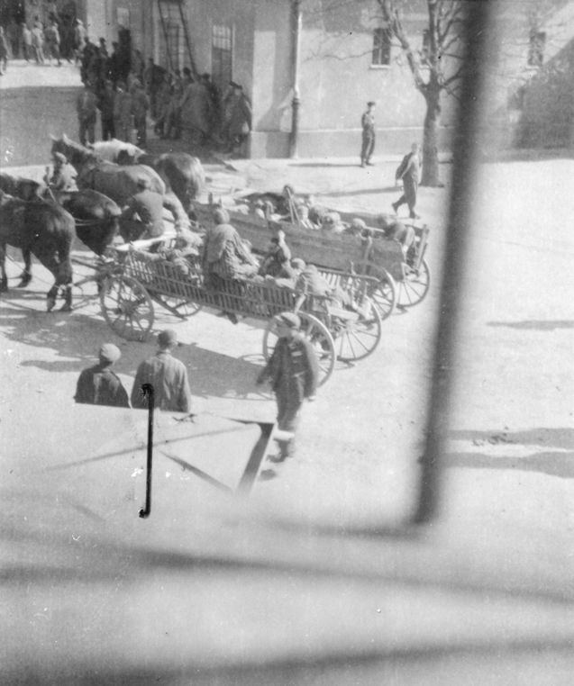 View of prisoners in horse-drawn carts in the Mauthausen concentration camp